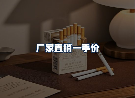 专业团队办公环境